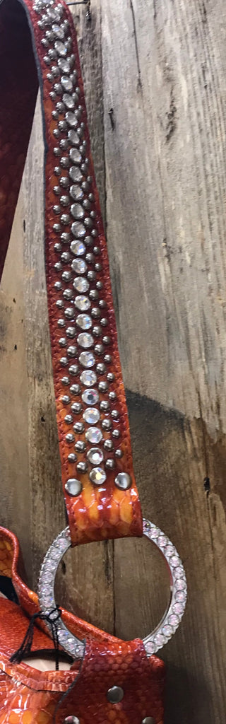 Orange Snake With Three Crown Conchos
